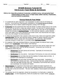Then fill in the answer on your answer document. Staar Science Tutorial 27 Practice Questions Answer Key Fill Online Printable Fillable Blank Pdffiller