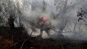 El incendio que afecta a un bosque de eucaliptos en la región portuguesa de el algarve continúa activo y durante la pasada madrugada fue desalojada una. El Incendio Del Algarve Avanza Por Una Zona De Gran Valor Ambiental