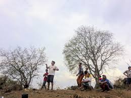 View from my window through binoculars and the actual zoomed in view