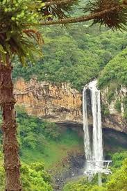 Canela Rio Grande Do Sul Fotos Canela O Que Ver E Fazer Com Criancas Ninho De Jiripoca Viagens Com Nossos Trigemeos Lindas Cachoeiras Viagens Natureza Bela
