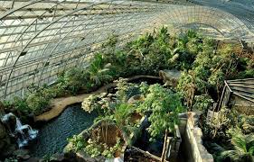 Zoo De Vincennes Zoologischer Garten Tierpark Zoo