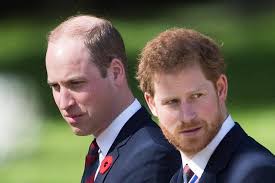 William en Harry verdelen erfenis van Diana over hun eigen stichtingen