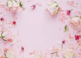 1000 pink floral wallpaper free vectors on ai, svg, eps or cdr. Hd Wallpaper Flowers Roses Frame Petals Colorful Pink Floral Wallpaper Flare