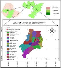 Image result for Ophrestia radicosa