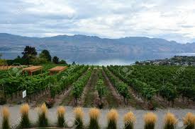 Search for kelowna british columbia canada. Okanagan Valley Kelowna Bc Canada Stock Photo Picture And Royalty Free Image Image 45800439