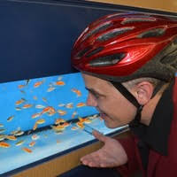 Billy-Christopher Maupin