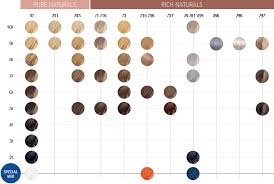 Für changierende, supernatürliche farben und strahlenden glanz. Color Touch Demi Permanente Tonung Wella Professionals