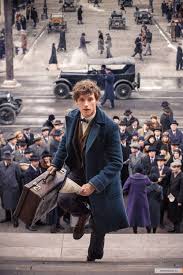 гарри поттер и фантастические твари и где они обитают Fantasticheskie Tvari I Gde Oni Obitayut Garri Potter Eda Eddi Redmejn Filmy
