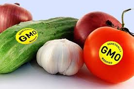 Some cons of gmo foods are environmental damage, no economic benefits and an increase in allergies. Gmo Pros And Cons Financial Tribune