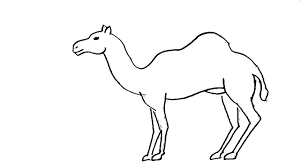 You could also include this drawing with your nativity. How To Draw A Camel In Easy Steps For Children Kids Beginners Youtube