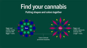 Leafly Has Devised A New Way Of Visualizing Marijuana Strain