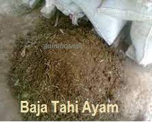 Penulis akan banyak berbagi mengenai cara membuat kerajinan dari batok kelapa. Anim Agro Technology Tahi Ayam Baja Organik