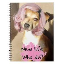 Puppy With Pink Hair Funny Notebook Zazzle Com Hair Humor Pink Hair Puppies