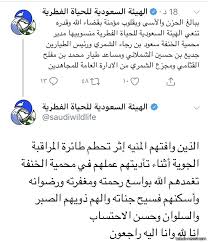 الحياة الفطرية وفاة 4 بتحطم طائرة بـ الخنفة صحيفة تبوك الإلكترونية