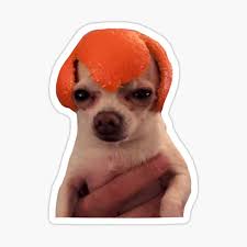 Yes, i am sure your dog can be the most handsome or the most beautiful dog. Dog With Croc On Head Sticker By Pecoandpoco Redbubble