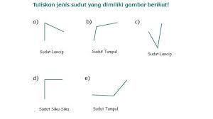Ia menemukan beberapa telur di dalam kandang. Kunci Jawaban Kelas 3 Sd Tema 8 Halaman 28 29 35 36 38 39 40 41 45 46 49 50 51 Tribunnews Com Mobile