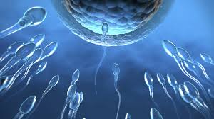 Sperm Racing Showdown Aims to Raise Awareness by 'Turning Health Into a  Competition'