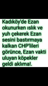 Reyhan Ozturk Adli Kullanicinin Sozunozu Panosundaki Pin Gercekler Steve Jobs Sarkilar
