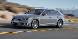 Image result for Argus Brown 2019 A4