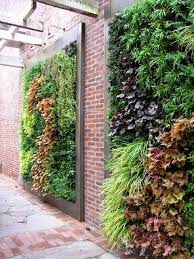 You can grow it outdoors on a balcony or a. 20 Excellent Diy Examples How To Make Lovely Vertical Garden Vertical Garden Design Vertical Garden Vertical Garden Diy