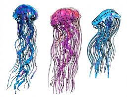 How to draw an easy fairy? Drawings Pina Jellyfish Drawing Jellyfish Art Jellyfish Tattoo Design