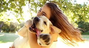 With talented customer advisors with animal training and retail backgrounds, efficient and focused replenishment. Holistic Pet Food Store For Cats And Dogs Grandorf