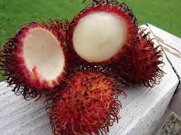 We did not find results for: 15 Strange Fruits And Vegetables Cbs News