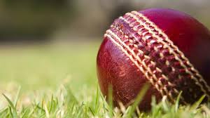 Run by facebook, this page brings you all. School Cricket Match Abandoned Due To Allegations Of Racial Homophobic And Sexist Slurs 1 News Tvnz