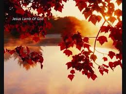 Fandalism is a site where musicians. Give Them All To Jesus Donna Carline Youtube
