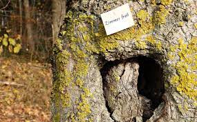 Muss es gleich eine wohnung oder ein appartement sein oder kommt ein zimmer in einer wohngemeinschaft. Suche Wohnung Brauche Geheimtipp Und Mehr