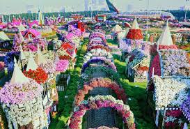 Take dubai metro and get down at mall of the emirates. Dubai Miracle Garden To Close For Summer On Wednesday May 15