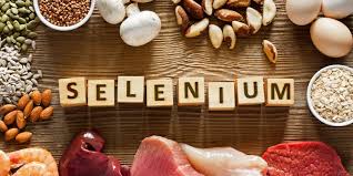 Image result for Selenium