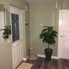 A Splash Of Colour To Lift Your Room And Your Mood Hall And Living Room Olive Living Rooms Hallway Paint
