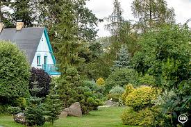Bund Deutscher Baumschulen E V Der Immergrune Garten Eine Augenweide Auch In Der Kalten Jahreszeit