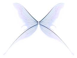 fairy wings png free fairy wings png t 885356 png images pngio pngio com