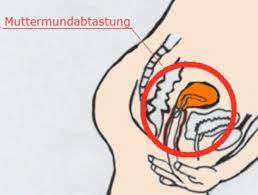 Muttermund Abtasten