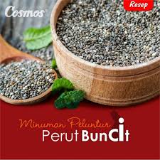 Kandungan omega 3 yang ada pada chia seed sangat baik bagi tubuh. Minuman Peluntur Perut Buncit
