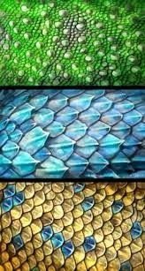 Image Result For How To Draw Dragon Scales Dragon Drawing Scale Tattoo Dragon Art