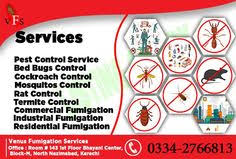 Stay away from the big names in pest control who only want. 8 New Homeowner Marketing Ideas New Homeowner Homeowner Corporate Flyer