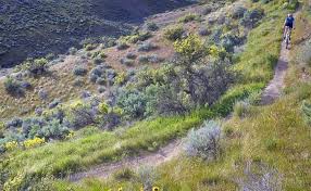 Taking the trail up the tallest peak in phoenix. 12 Best Hiking Trails Near Boise Id Planetware