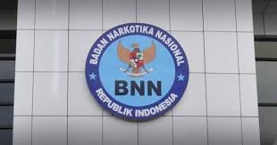 Syarat kur bank jateng untuk usaha perorangan dan badan usahasyarat yang dibutuhkan. Badan Narkotika Nasional Recruitment For D3 S1 Nursing Non Cpns Bnn February 2019 Lowongan Kerja Lowongan Kerja 2020 Lowongan Kerja Januari 2020