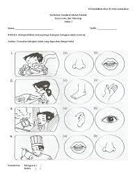 Dunia sains dan teknologi tahun 3. Dunia Sains Dan Teknologi Tahun 1 Fungsi Badan Manusia