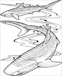 Home / free coloring pages / characters / baby shark; Shark Coloring Pages For Adults Coloringbay