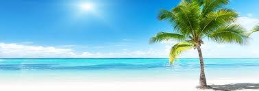 Michael Keith Bartosewcz Obituary February 11, 2025