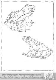 Free printable of frogs coloring pages are a fun way for kids of all ages to develop creativity, focus, motor skills and color recognition. Realistic Frog Coloring Pages
