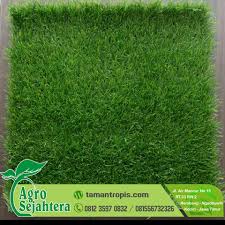 Check spelling or type a new query. Jual Rumput Untuk Akuarium