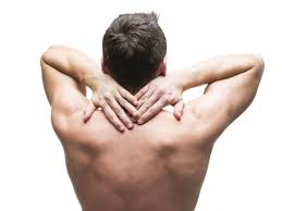 Ectoderm, endoderm, and exoskeleton d. Intercostal Muscle Strain Signs Treatments And Remedies