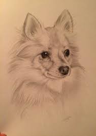 The hope is that these attempts at creative expression help keep animals. Super Drawing Ideas Pencil Creative Animals Ideas Dog Portrait Drawing Disney Drawings Sketches Animal Drawings
