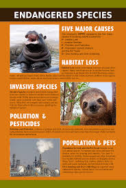 Because Of Deforestation Animals Does Not Have A Home Humans Activities Threat Animals And Exposed Them To Danger Endangered Species Invasive Species Habitats