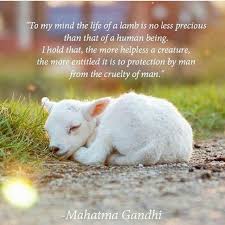 I'm not sure why i like cats so much. Mahatmagandhi Sweet Godscreatures Govegan Veganism Vegansofig Lamb Quotes Peaceful Peace Earthlings Unity Compa Animal Quotes Vegan Quotes Animals